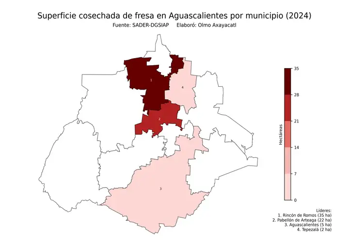 Superficie cosechada de fresa en Aguascalientes por municipio