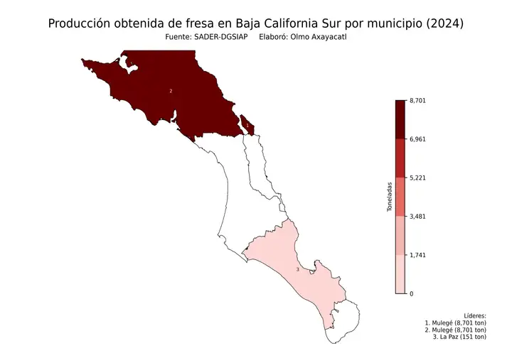 Producción obtenida de fresa en Baja California Sur por municipio