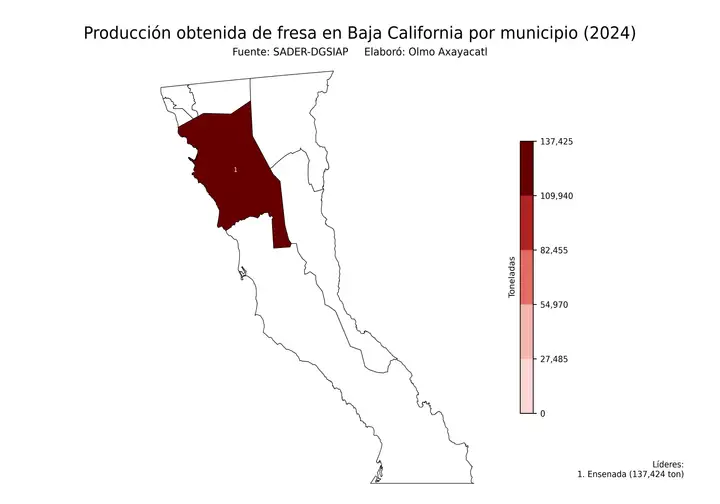 Producción obtenida de fresa en Baja California por municipio