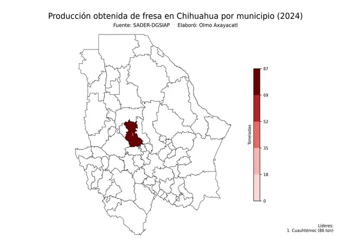 Producción obtenida de fresa en Chihuahua por municipio