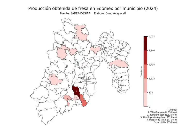 Producción obtenida de fresa en Estado de México por municipio