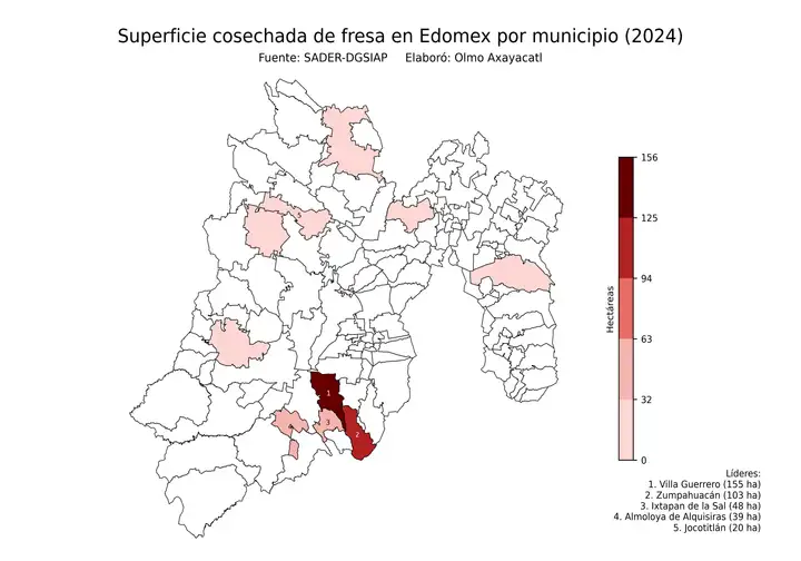 Superficie cosechada de fresa en Estado de México por municipio
