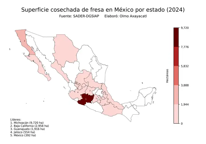 Superficie cosechada de fresa en México por estado