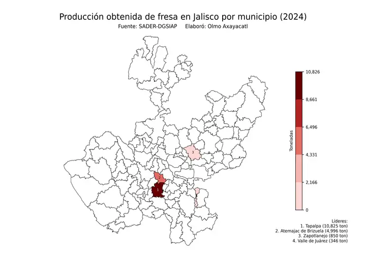 Producción obtenida de fresa en Jalisco por municipio