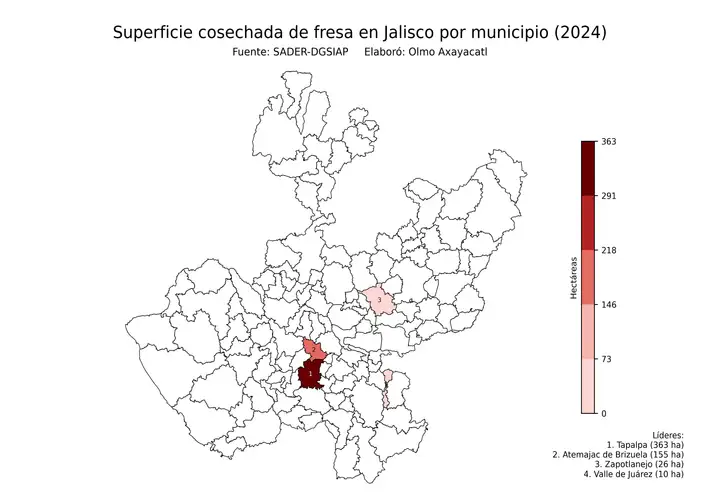 Superficie cosechada de fresa en Jalisco por municipio