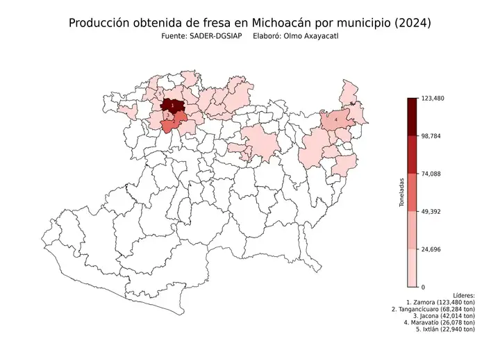 Producción obtenida de fresa en Michoacán por municipio