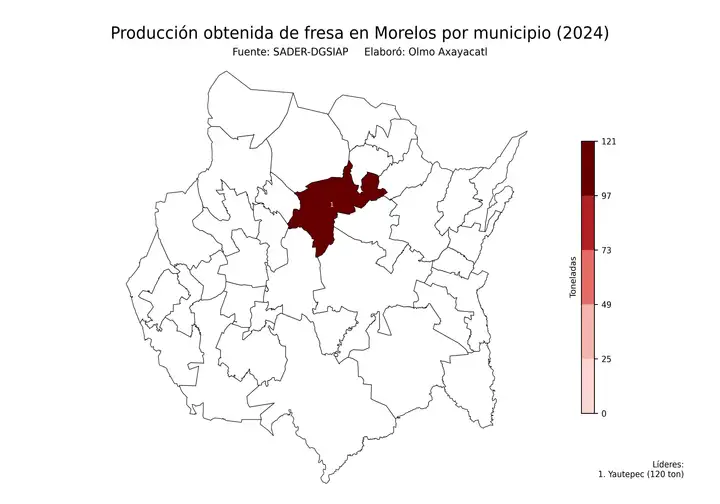 Producción obtenida de fresa en Morelos por municipio