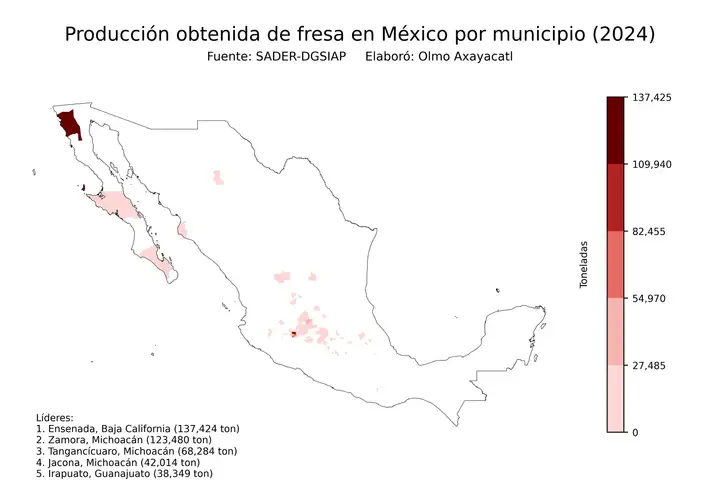 Producción obtenida de fresa en México por municipio