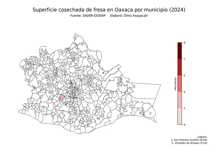 Superficie cosechada de fresa en Oaxaca por municipio