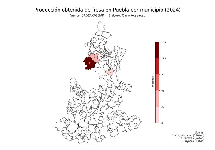 Producción obtenida de fresa en Puebla por municipio