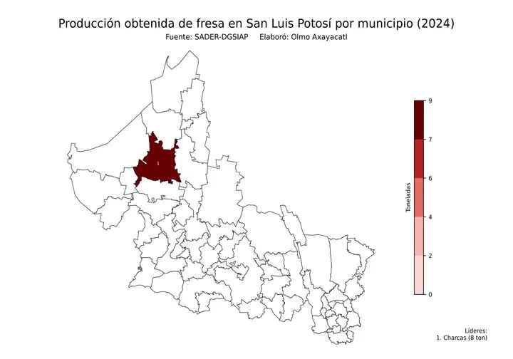 Producción obtenida de fresa en San Luis Potosí por municipio