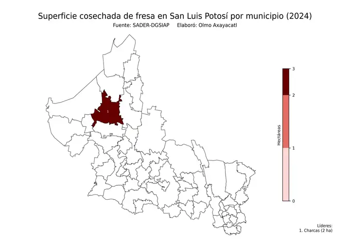 Superficie cosechada de fresa en San Luis Potosí por municipio
