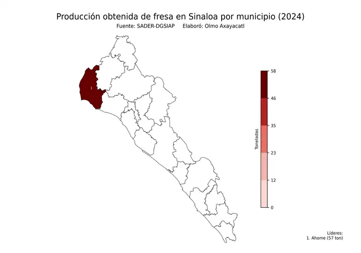 Producción obtenida de fresa en Sinaloa por municipio