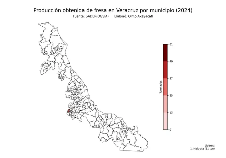 Producción obtenida de fresa en Veracruz por municipio