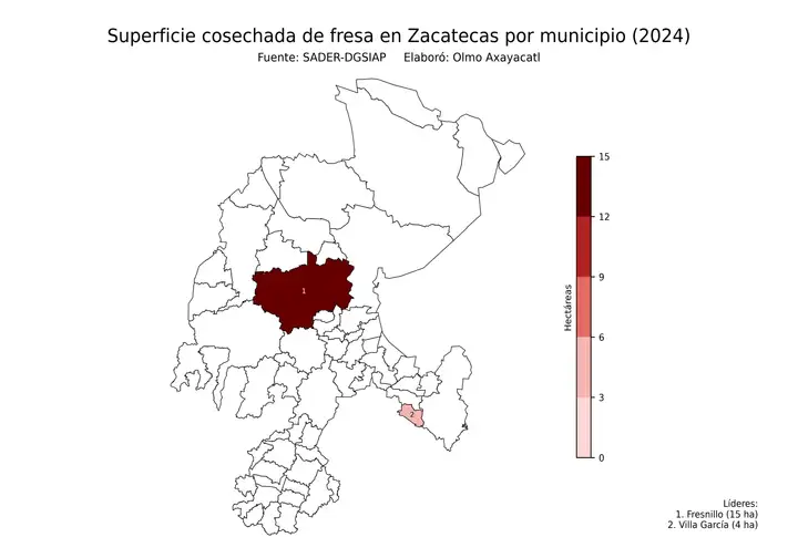 Superficie cosechada de fresa en Zacatecas por municipio