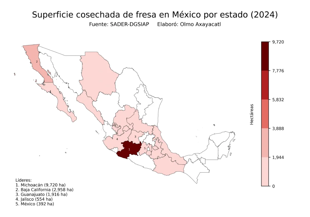 México Producción Agrícola Fresa (Estados Superficie)