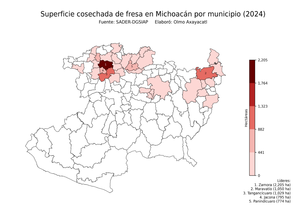 México Producción Agrícola Fresa Michoacán (superficie cosechada)