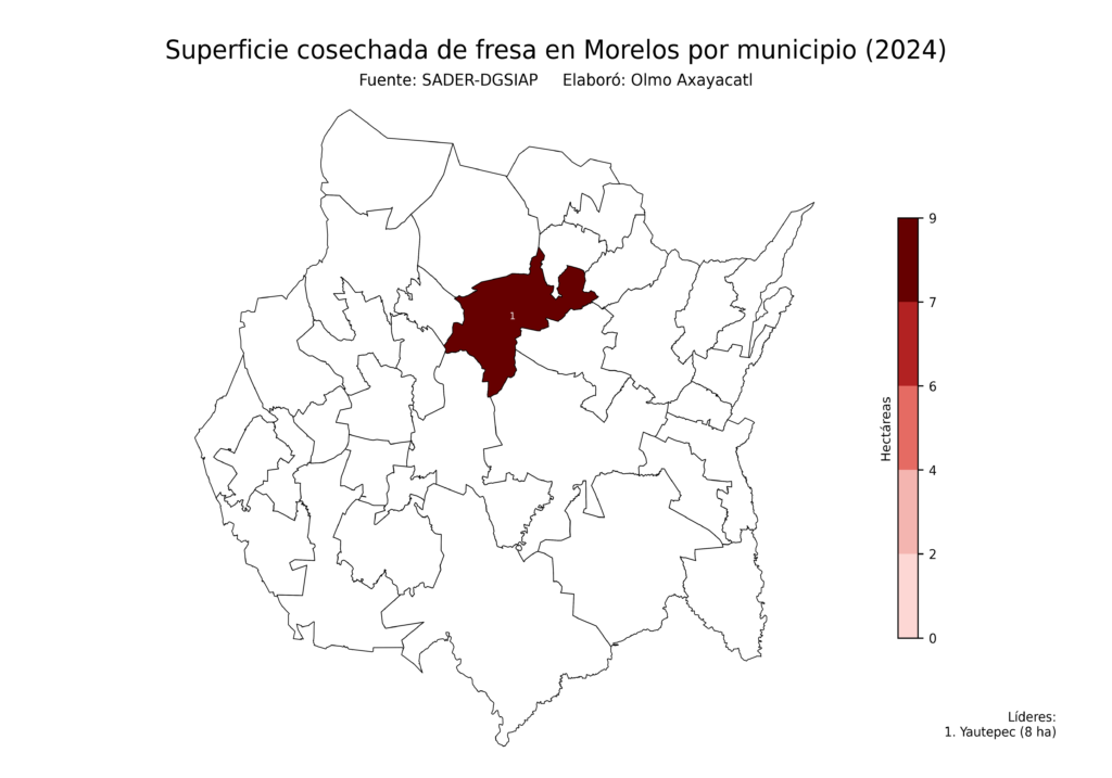 México Producción Agrícola Fresa Morelos (superficie cosechada)