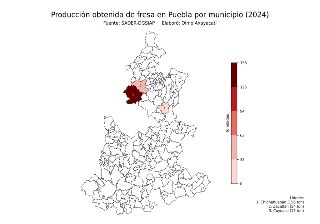 México Producción Agrícola Fresa Puebla (producción obtenida)